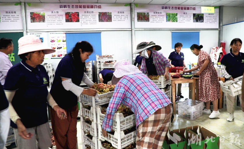 足球现金网去哪弄